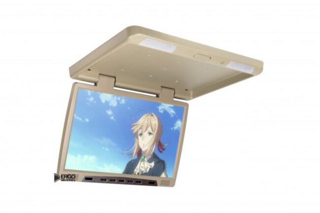 Потолочный монитор 22" ERGO ER22H (1680x1050) бежевый
